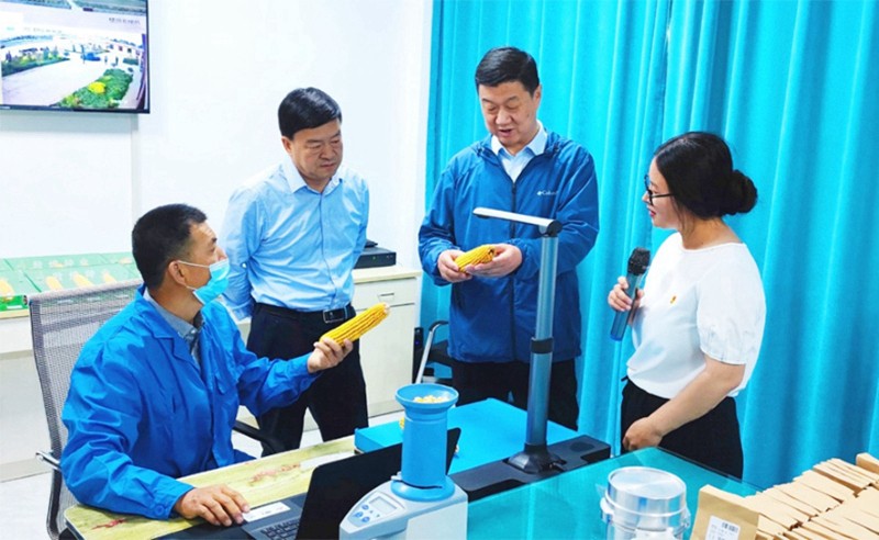 甘肅省地方金融監(jiān)管局、甘肅證監(jiān)局領(lǐng)導(dǎo)蒞臨敦煌種業(yè)調(diào)研指導(dǎo)